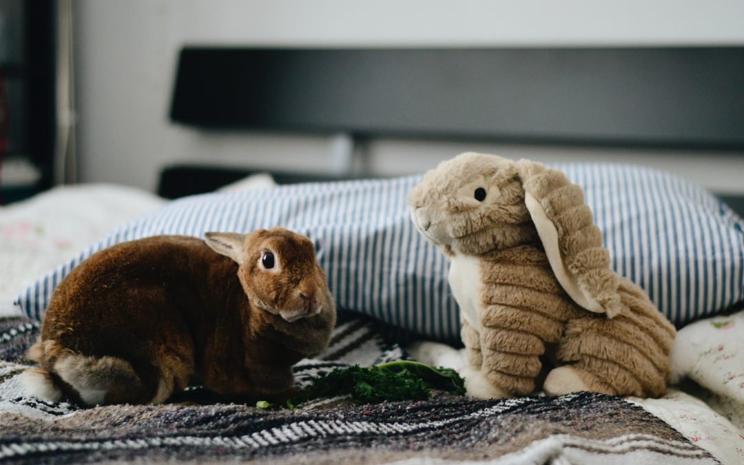 Listen: The Tale of Peter Rabbit by Beatrix Potter (Read by Krissy)