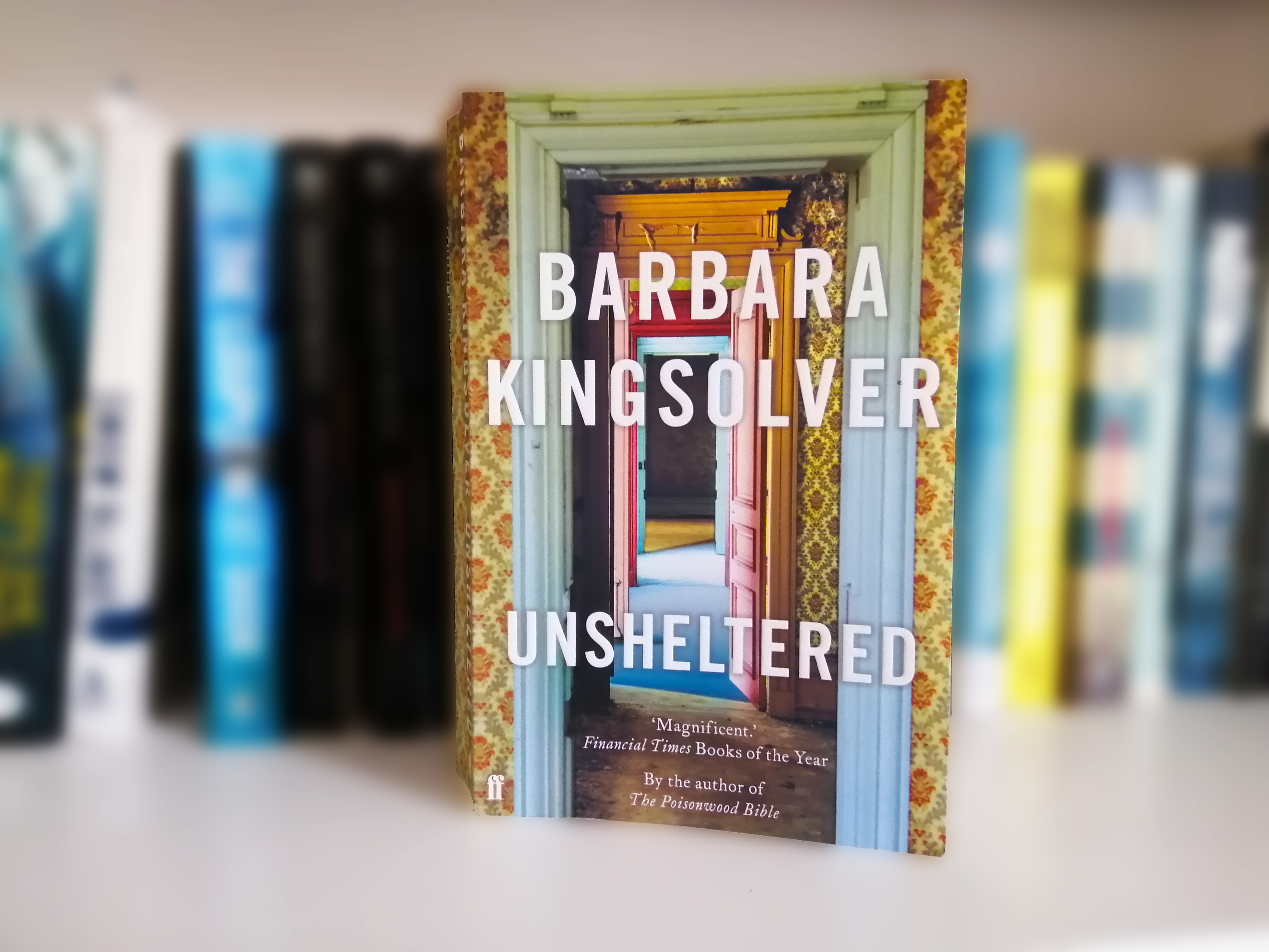 Unsheltered Bookcase Blur