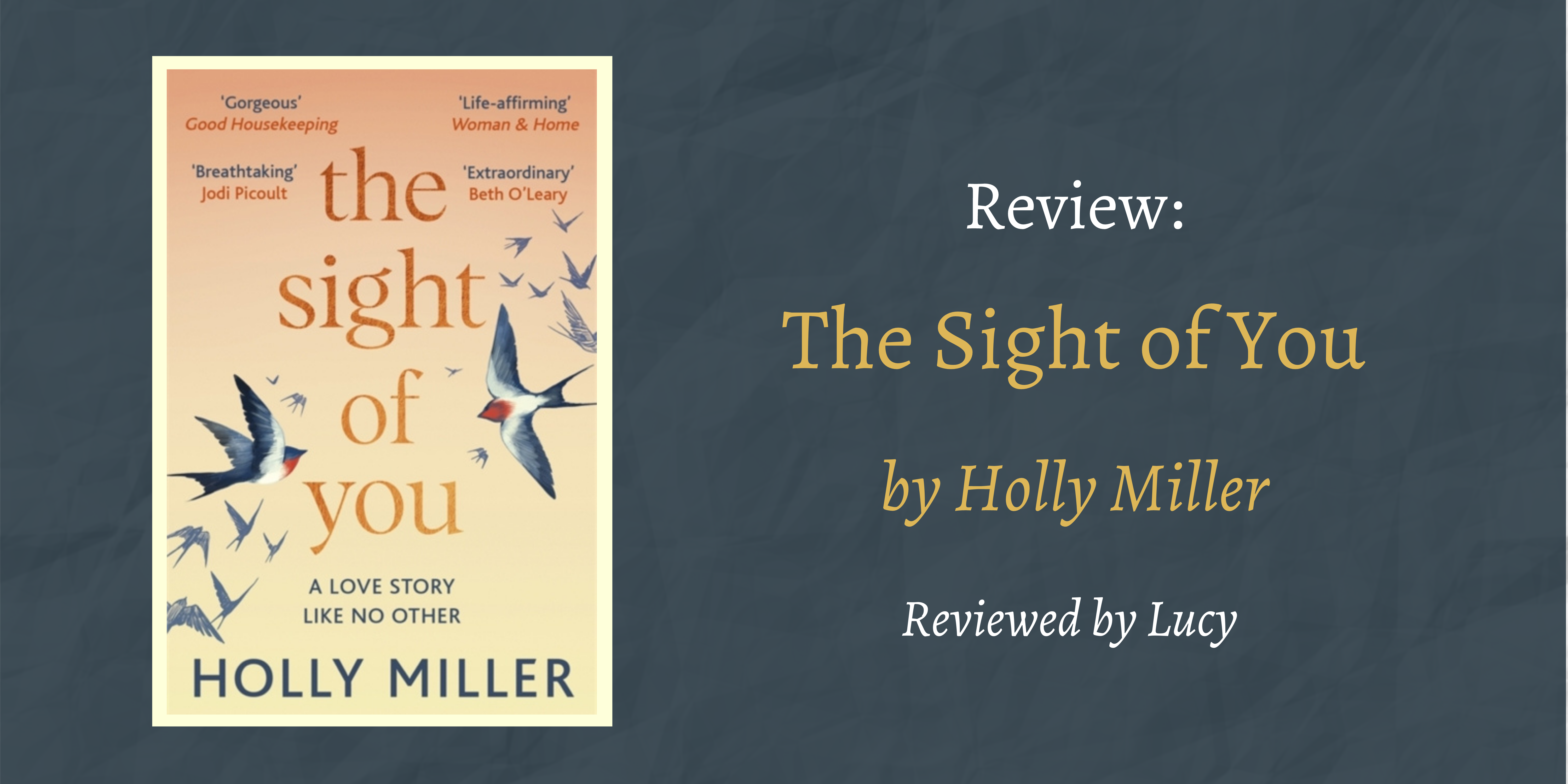 Book Review The Sight of You